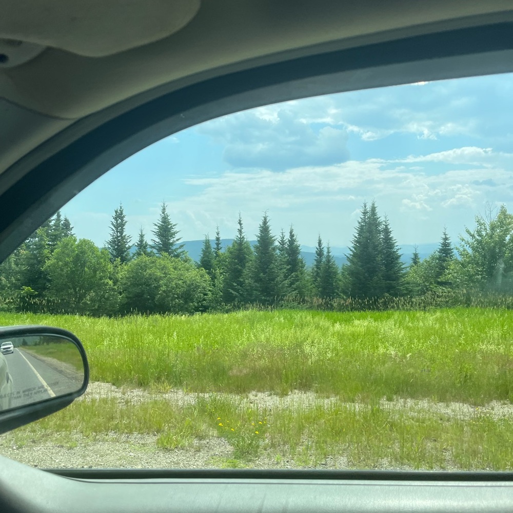 MASSIVE CLOSET CLEANOUT